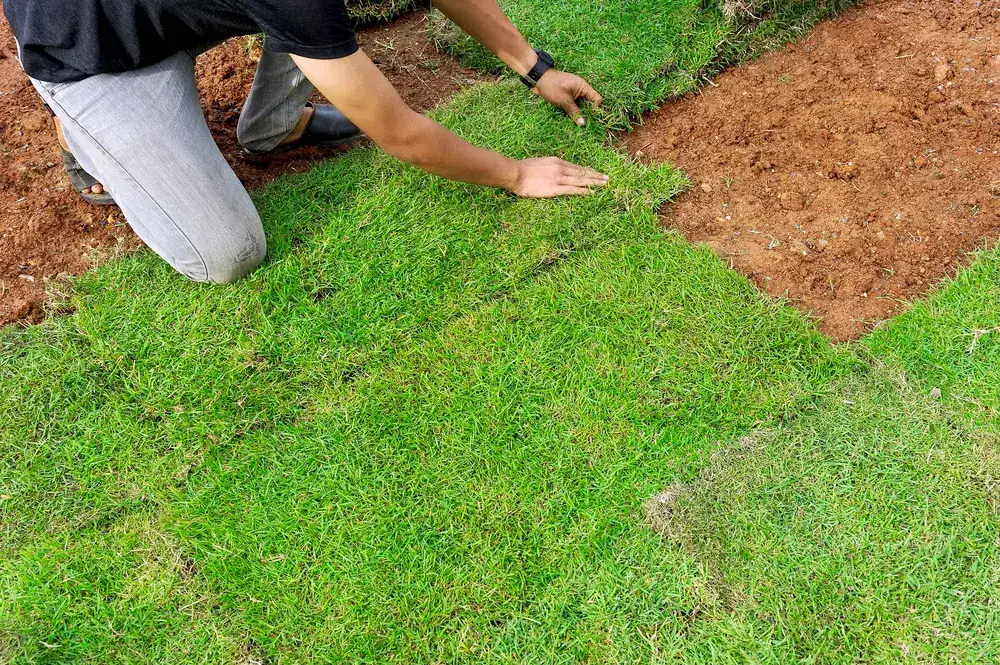 The OnTime crew on a garden maintenance job in Logan Reserve