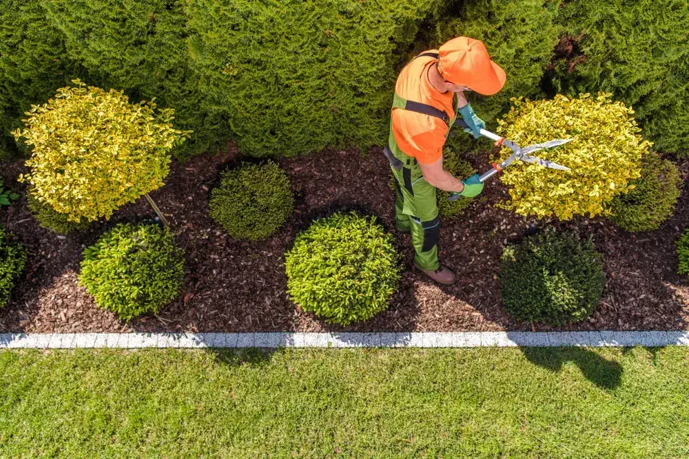 The OnTime crew on a garden maintenance job in Park Ridge
