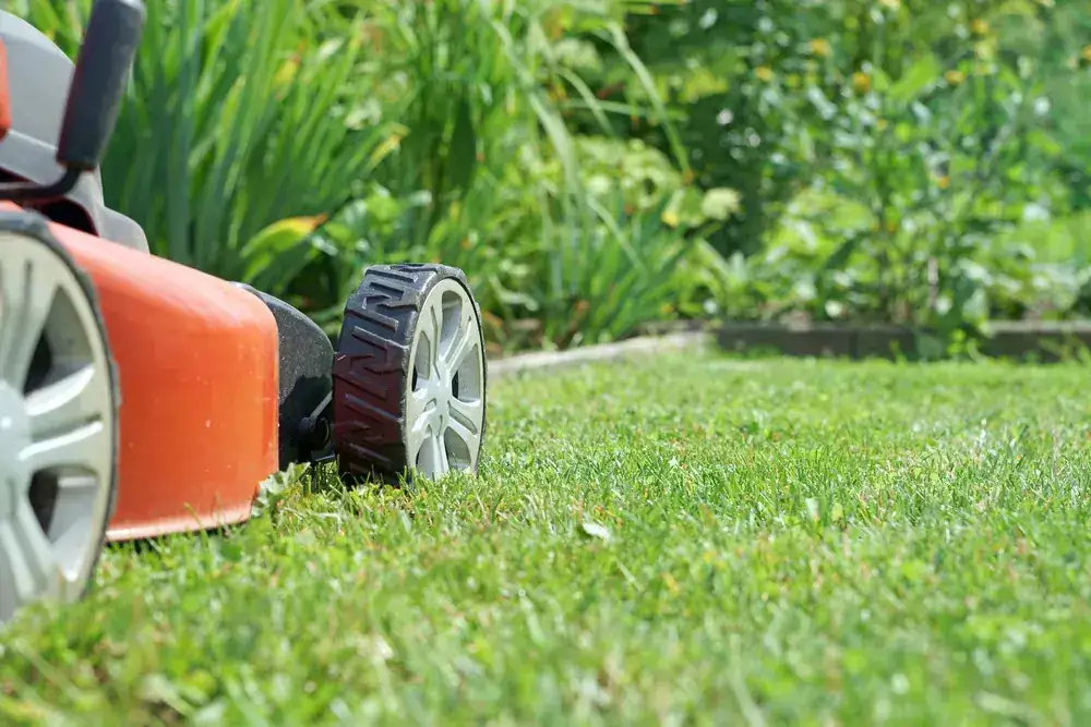 The OnTime crew on a garden maintenance job in Parkinson