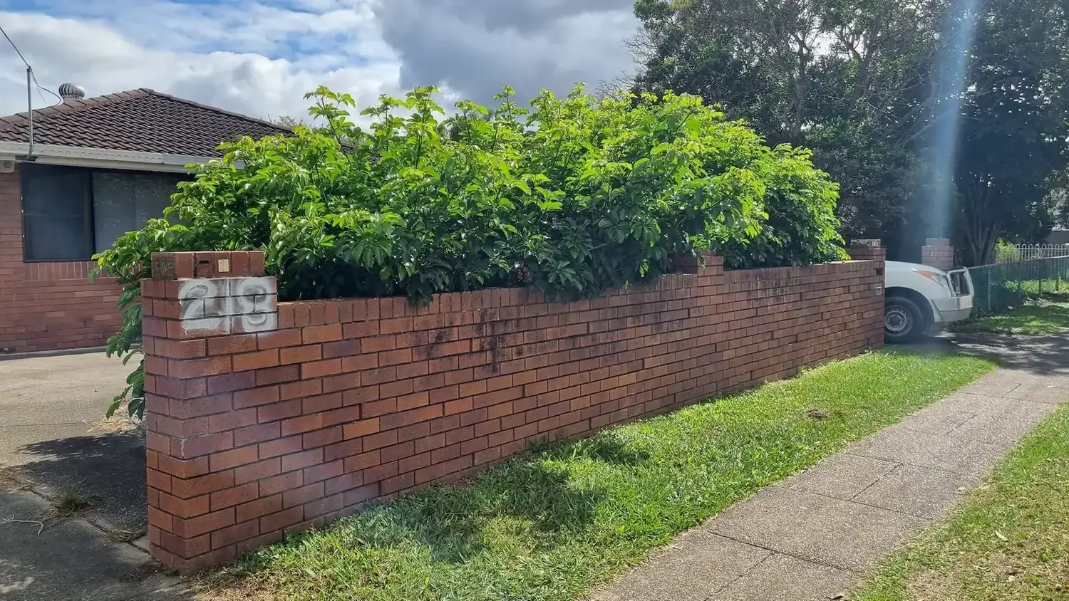 Hedging in Logan Reserve by OnTime Landscape & Tree Maintenance