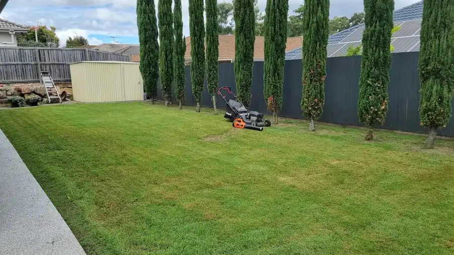 OnTime Landscape & Tree Maintenance carrying out hedging work in Logan Reserve