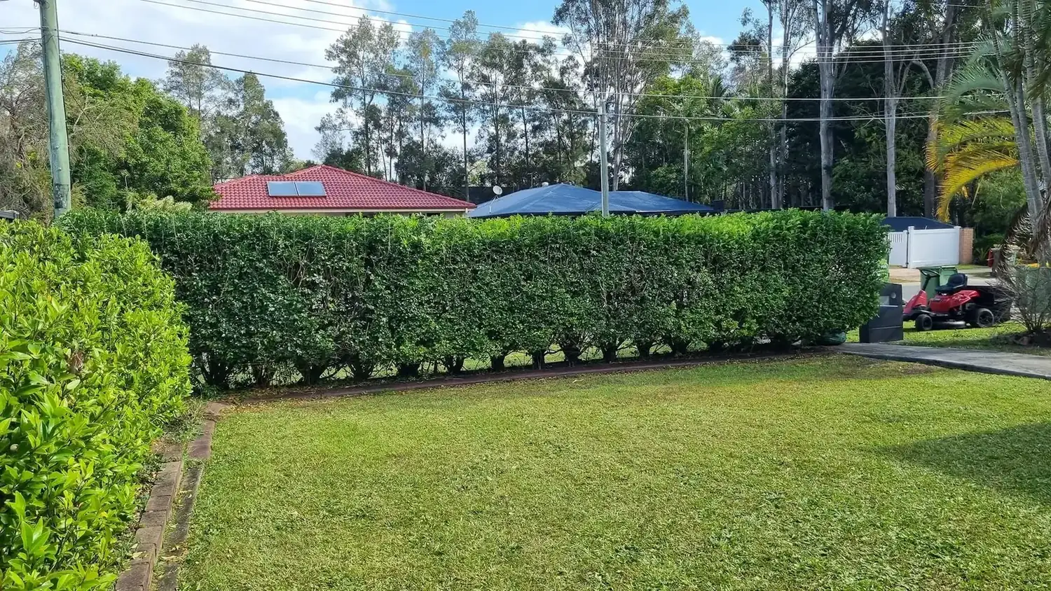 The OnTime crew on a hedging job in Brisbane