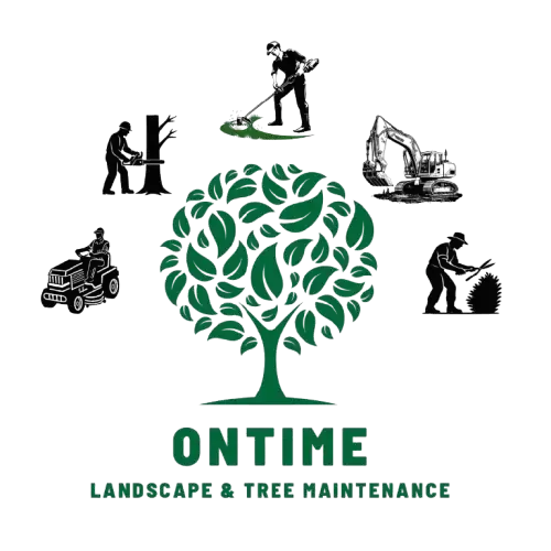 OnTime Landscape & Tree Maintenance logo