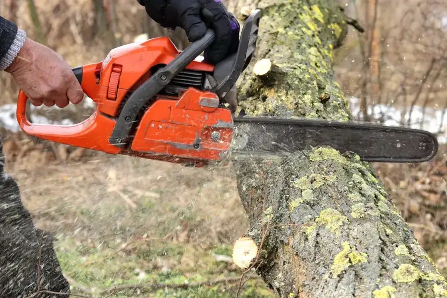 OnTime Landscape & Tree Maintenance carrying out tree removal work in Calamvale