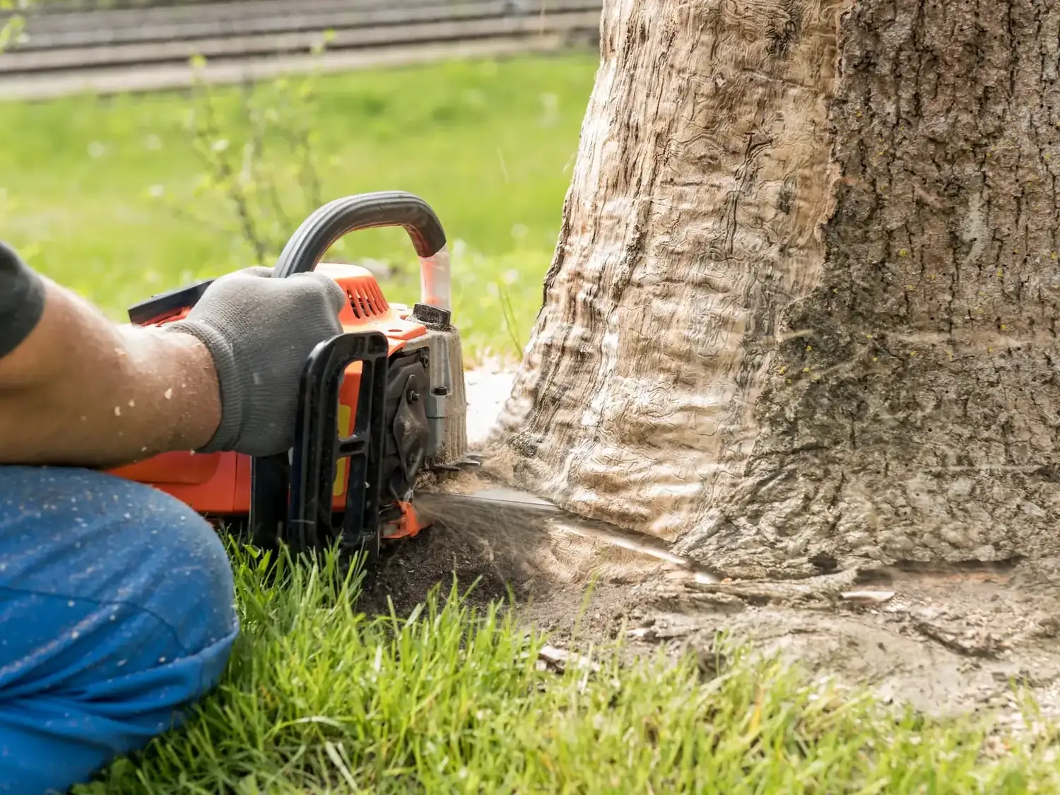 Tree Removal in Hillcrest by OnTime Landscape & Tree Maintenance