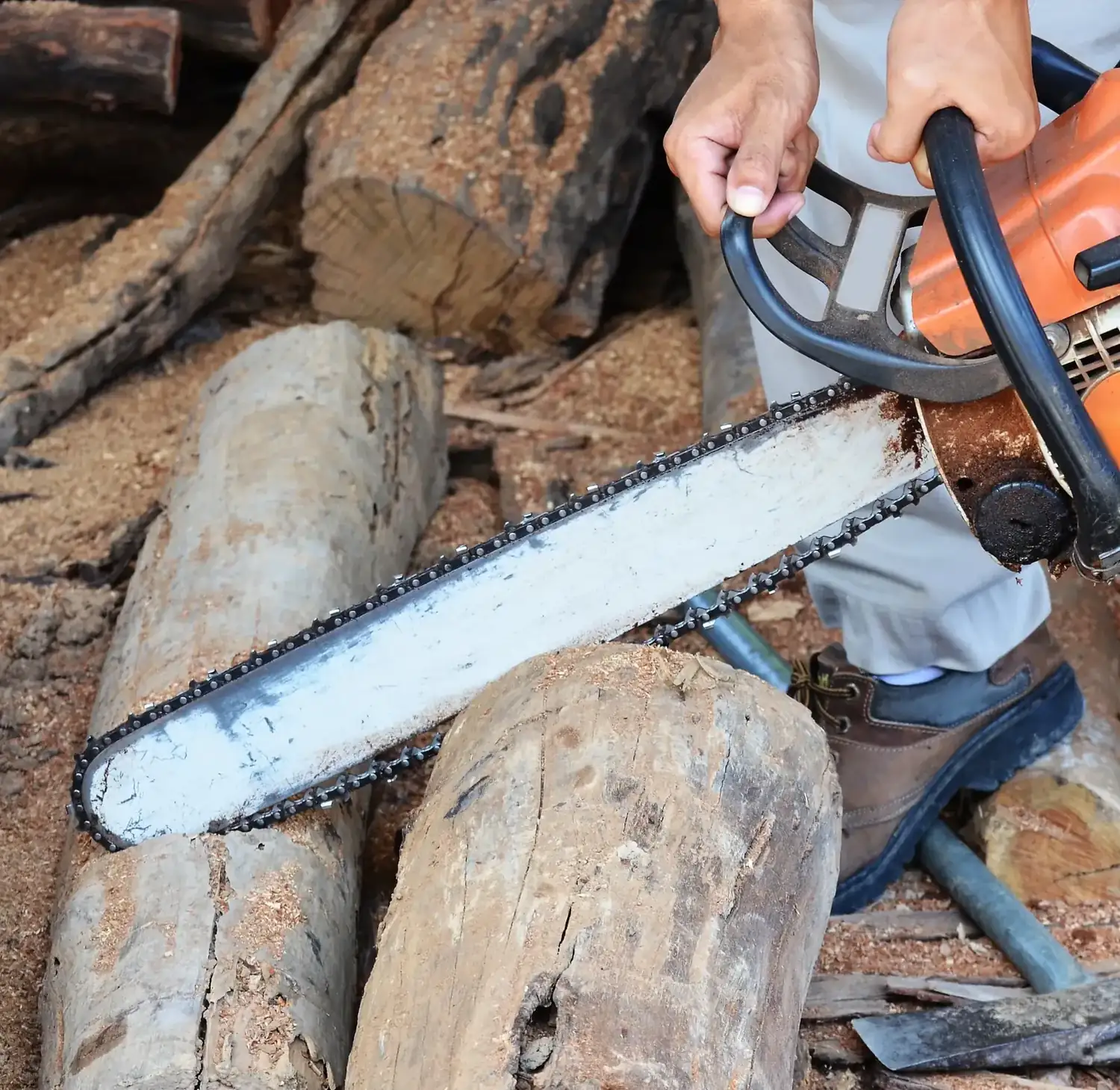 Tree Removal in Logan Reserve by OnTime Landscape & Tree Maintenance