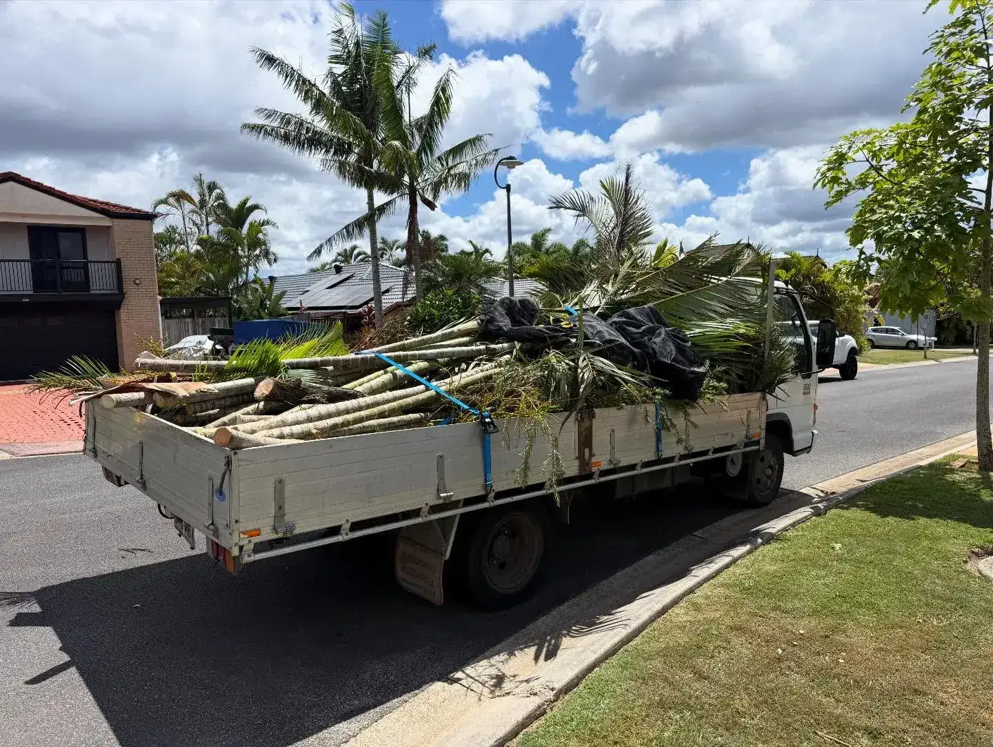 The OnTime crew on a tree removal job in Brisbane