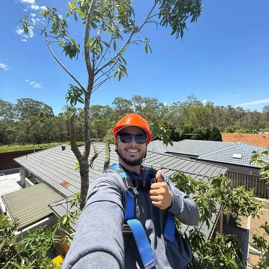 OnTime Landscape & Tree Maintenance carrying out tree removal work in Brisbane